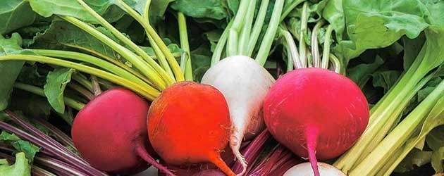 Как се вари червено цвекло? Ползи и вреди 5 Червено цвекло 03 cherveno-cveklo-04