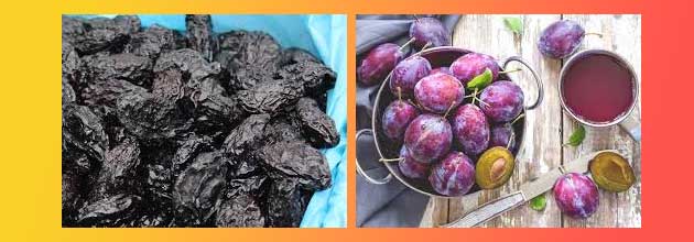 01 Susheni Sini Slivi Polzi I Vredi