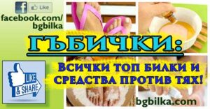 Първа помощ при гъбички.