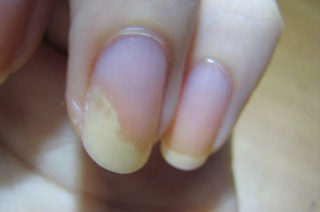 gabichki-po-noktite-01