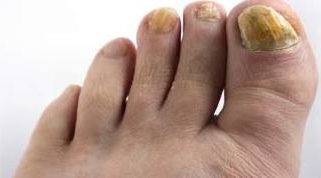 gabichki-po-noktite-05