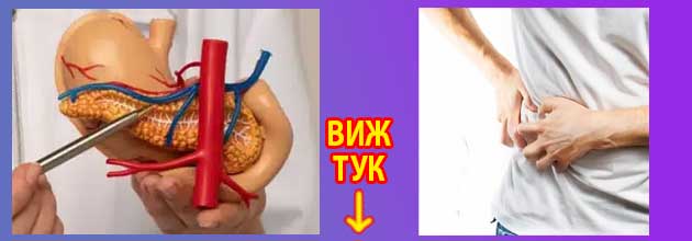 Хранене при прегъната жлъчка: Диета 2 Хранене при прегъната жлъчка Диета 1