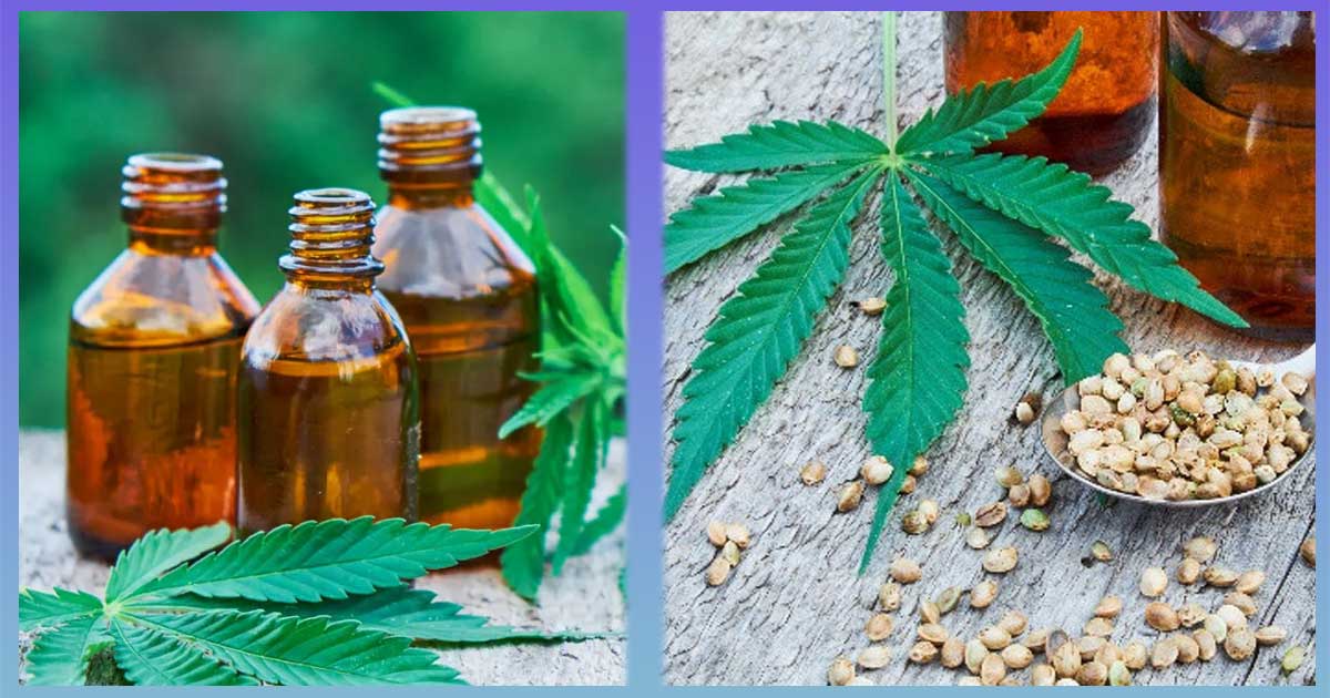 Легалността на CBD, канабидиола, извлечен от конопа, предизвиква дебати и въпроси в България.