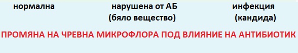 Ентеросан пробиотик 03