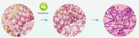 Ентеросан пробиотик 04